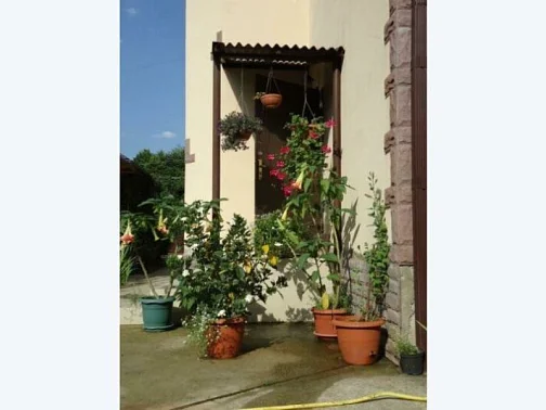 "Вилла Гардения" гостевой дом, Лоо, Горный воздух Фото: 3 из 31