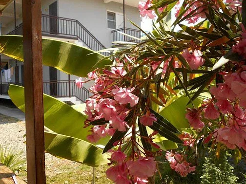 "На Главной" гостевой дом, Якорная щель Фото: 8 из 45