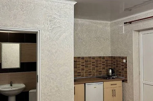 1-комнатный с кухней Фото: 16 из 24