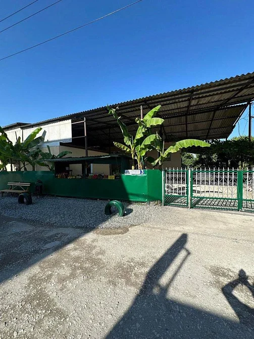 Частный сектор Приморская 3, Пицунда Фото: 2 из 4