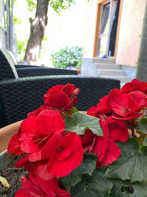 Частный сектор Маячная 37, Геленджик Фото: 15 из 42