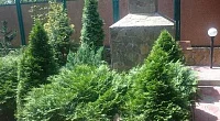 "Парус" гостевой дом, Витязево