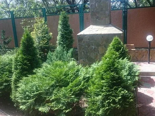 "Парус" гостевой дом, Витязево Фото: 5 из 51