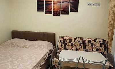 1-комнатная квартира Крымская 77/А, Сочи Фото: 1 из 12