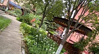 "Маленький рай" гостевой дом, Феодосия