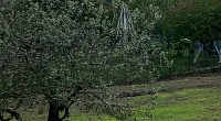 Дом под-ключ Багба Багадыра 103, Сухум