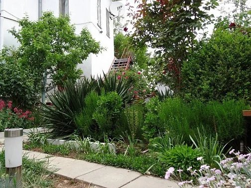 "Нектарин" частный сектор, Саки Фото: 4 из 33