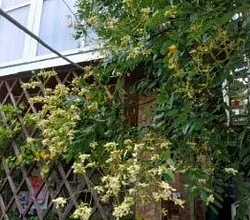 "На Халтурина 4" гостевой дом