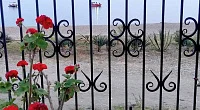 "Мелисса" 1-комнатная квартира, Лдзаа