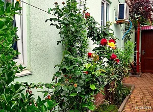 Частный сектор ул. Кирова Геленджик