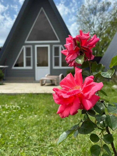 "A-frame" база отдыха, Лдзаа Фото: 8 из 45