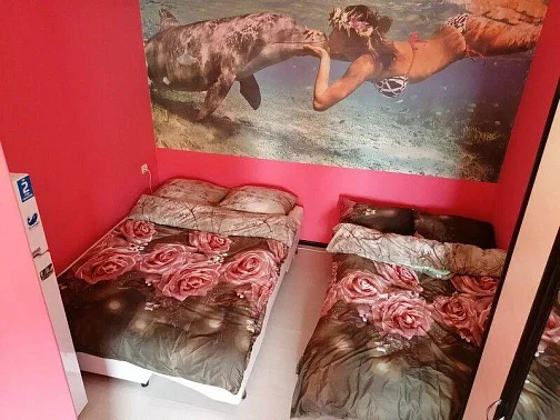 Квартира-студия Перепелиный 1, Сириус Фото: 10 из 16