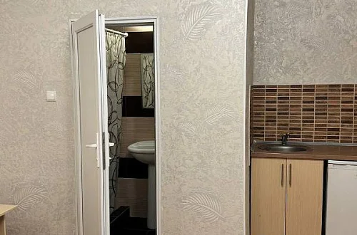 1-комнатный с кухней Фото: 14 из 24