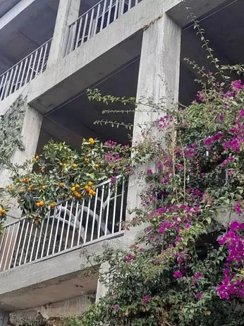 "С видом на море" частный сектор, Гагра Фото: 3 из 37