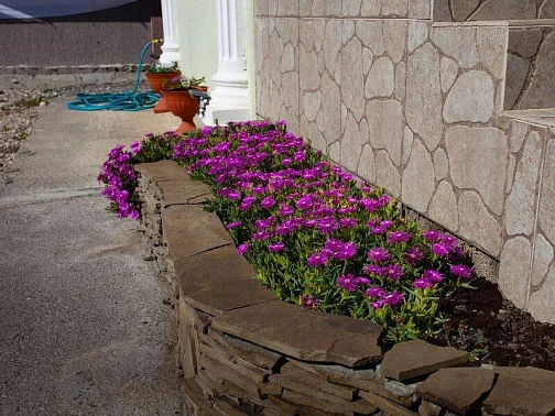 "Ася" гостевой дом, Цандрипш Фото: 14 из 18