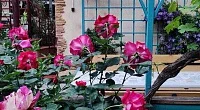 "Флагман" гостевой дом, Анапа