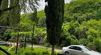 1,5-комнатная квартира Карьерная 75/4 кв 72, Цандрипш