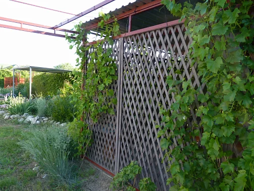 "НАШ КАЗАНТИП" гостевой дом, Новоотрадное Фото: 18 из 51