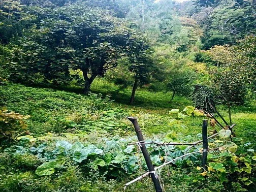 "Корвет" 2 дома под-ключ, Каткова Щель Фото: 26 из 29