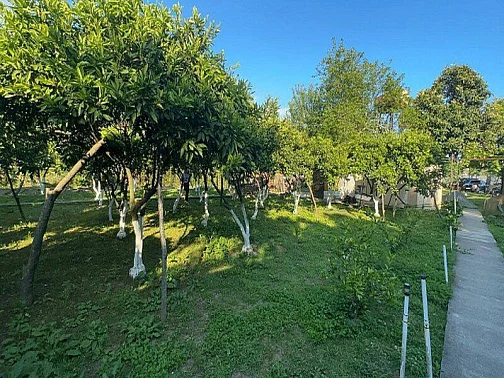 "Отдых у Ларисы" частный сектор, Алахадзы Фото: 18 из 40