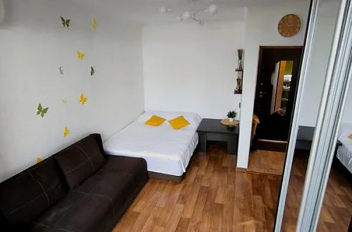 1-комнатная квартира Фото: 3 из 8