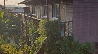 "Южная Пальмира" гостевой дом, Лдзаа
