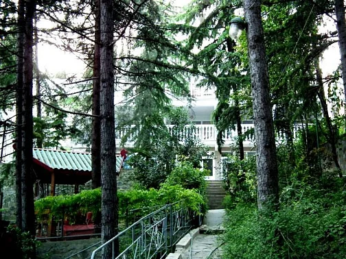 "Мечта" база отдыха, Гурзуф Фото: 3 из 51