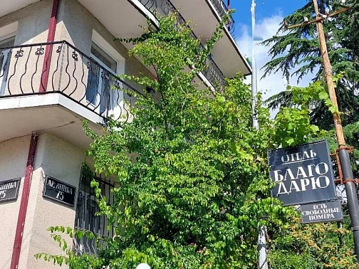 "Благо-Дарю" гостевой дом, Гагра Фото: 3 из 51