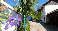 "Сирануш" частный сектор, Пицунда