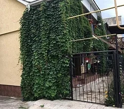 "У Львовны" гостевой дом