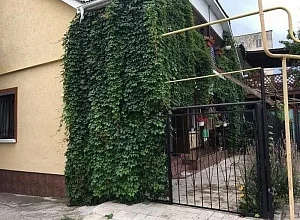 "У Львовны" гостевой дом Евпатория