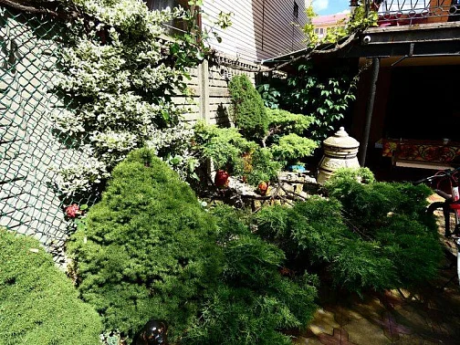 "Облака" гостевой дом, Ольгинка Фото: 8 из 51