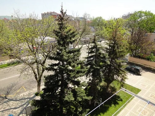 1-комнатная квартира Крымская 83, Анапа Фото: 5 из 11