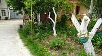 Частный сектор Адыгаа 87, Гагра