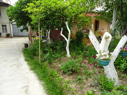 Частный сектор Адыгаа 87, Гагра Фото: 3 из 33