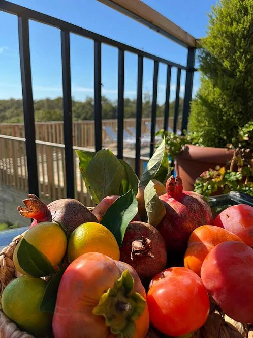 "Родные места" база отдыха, Асечкуа Фото: 20 из 47