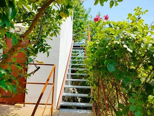 "Нектарин" частный сектор, Саки Фото: 12 из 33