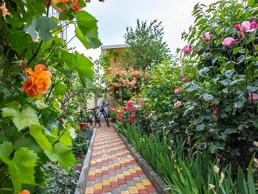 Гостевой дом Тенистая 20, Геленджик Фото: 3 из 51