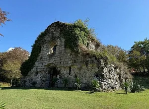 "Ambara camp" 2 дома  Гудаута