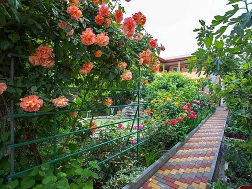 Гостевой дом Тенистая 20, Геленджик Фото: 2 из 51