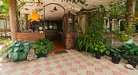 "Телец" частный сектор, Алушта
