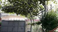 "Уют" гостевой дом, Евпатория