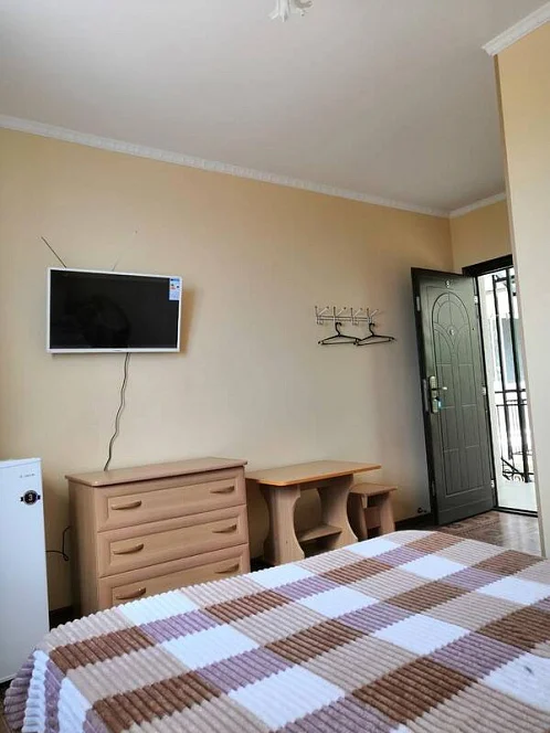 "На Толстого 9" частный сектор, Лазаревское Фото: 43 из 45