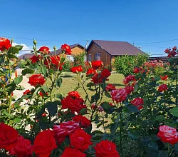 "Лаванда" 2х-комнатный дом под-ключ