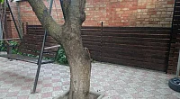 "На Сазонова" этаж под-ключ, Ейск