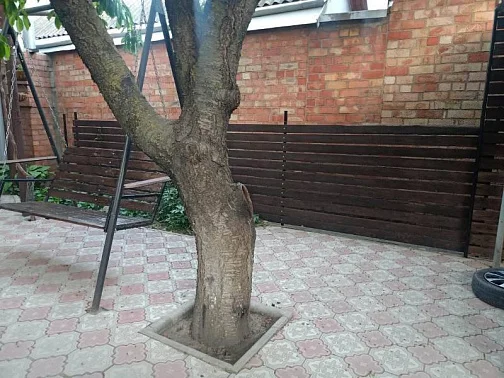 "На Сазонова" этаж под-ключ, Ейск Фото: 5 из 15