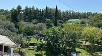"Белый дом" частный сектор, Лдзаа