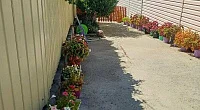 Ул. Мира, Бетта