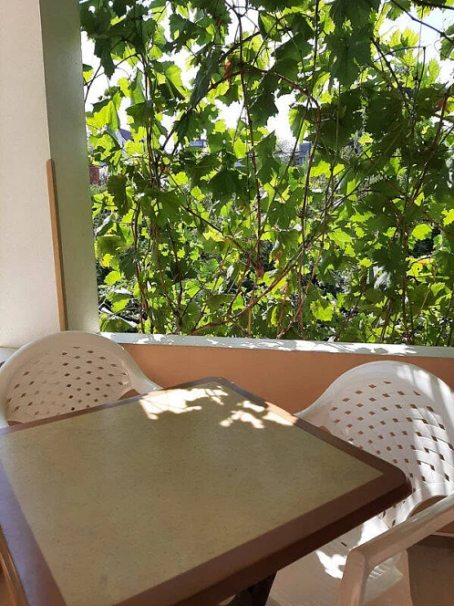 "Валена" частный сектор, Геленджик Фото: 17 из 42