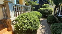 "Апартаменты Глициния", Алушта